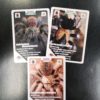 Arachnifiles Arachnicards (24 Cards) - Image 4