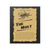The Molt - Image 4