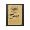 The Molt - Image 13