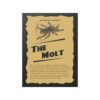 The Molt - Image 16