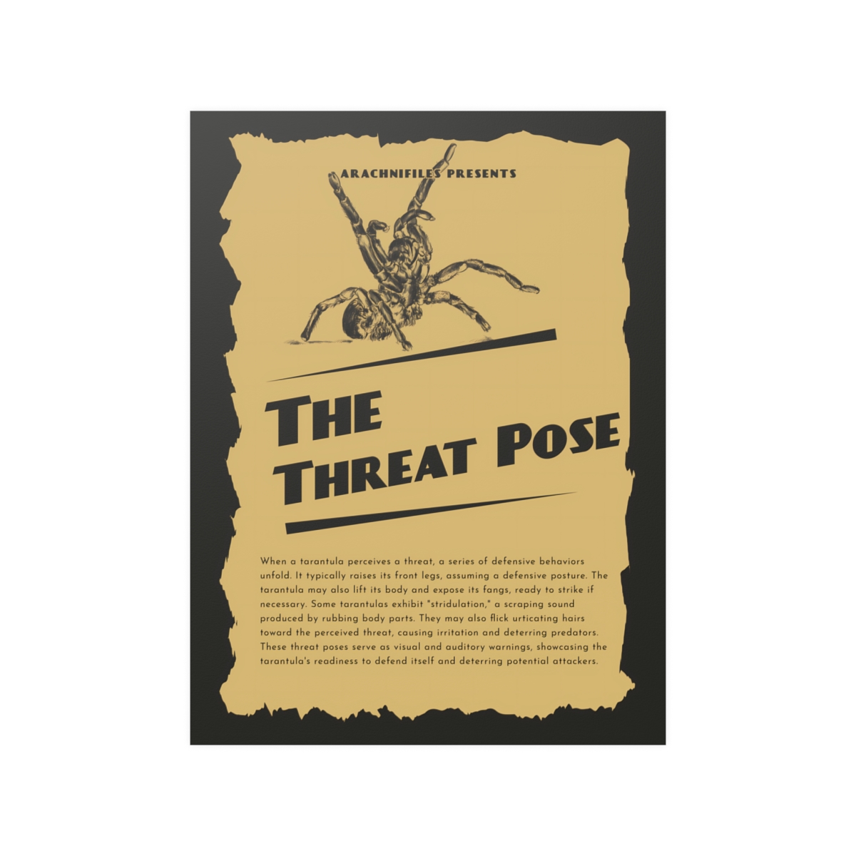 R0021917 copy Tarantula threat pose! | Threat pose! Big, bea… | Flickr