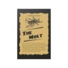 The Molt - Image 2
