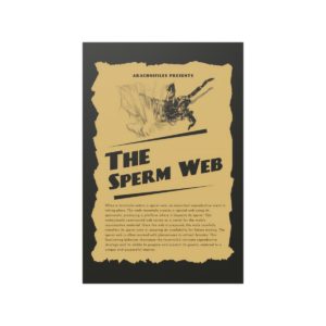 The Sperm Web