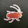 Cockroach Die Cut Sticker (3"x3")