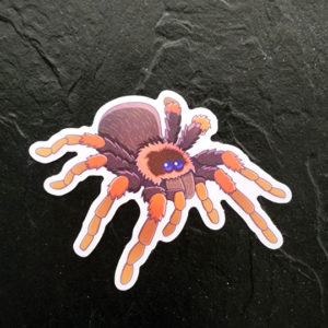 Tarantula Die Cut Sticker (3"x3")