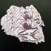 Whip Spider Die Cut Sticker (4"x3") - Image 2