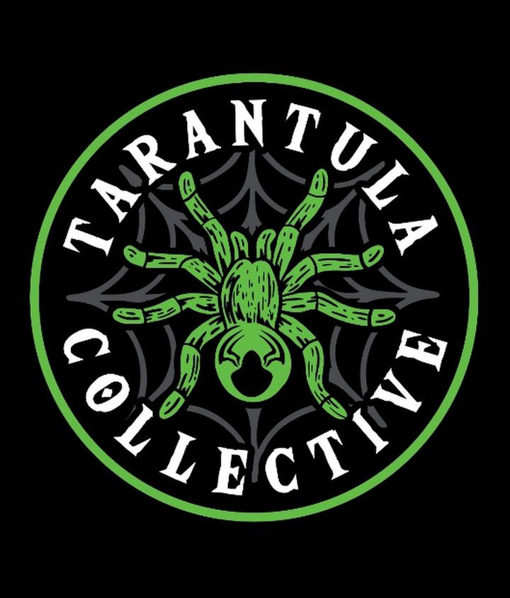 tarantula collective