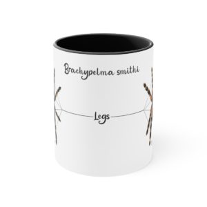 Brachypelma Smithi Anatomy Mug, 11oz (Small)