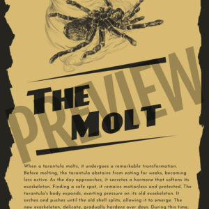 The Molt (Print On Demand)