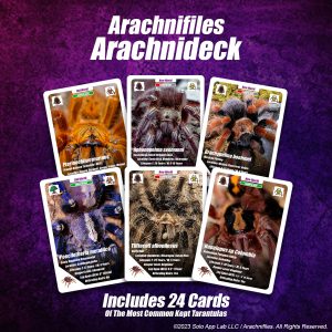Arachnifiles Arachnicards (24 Cards)