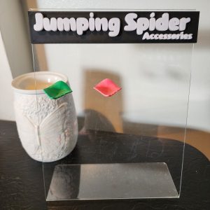Jumping Spider Feeding Leaf Ledge