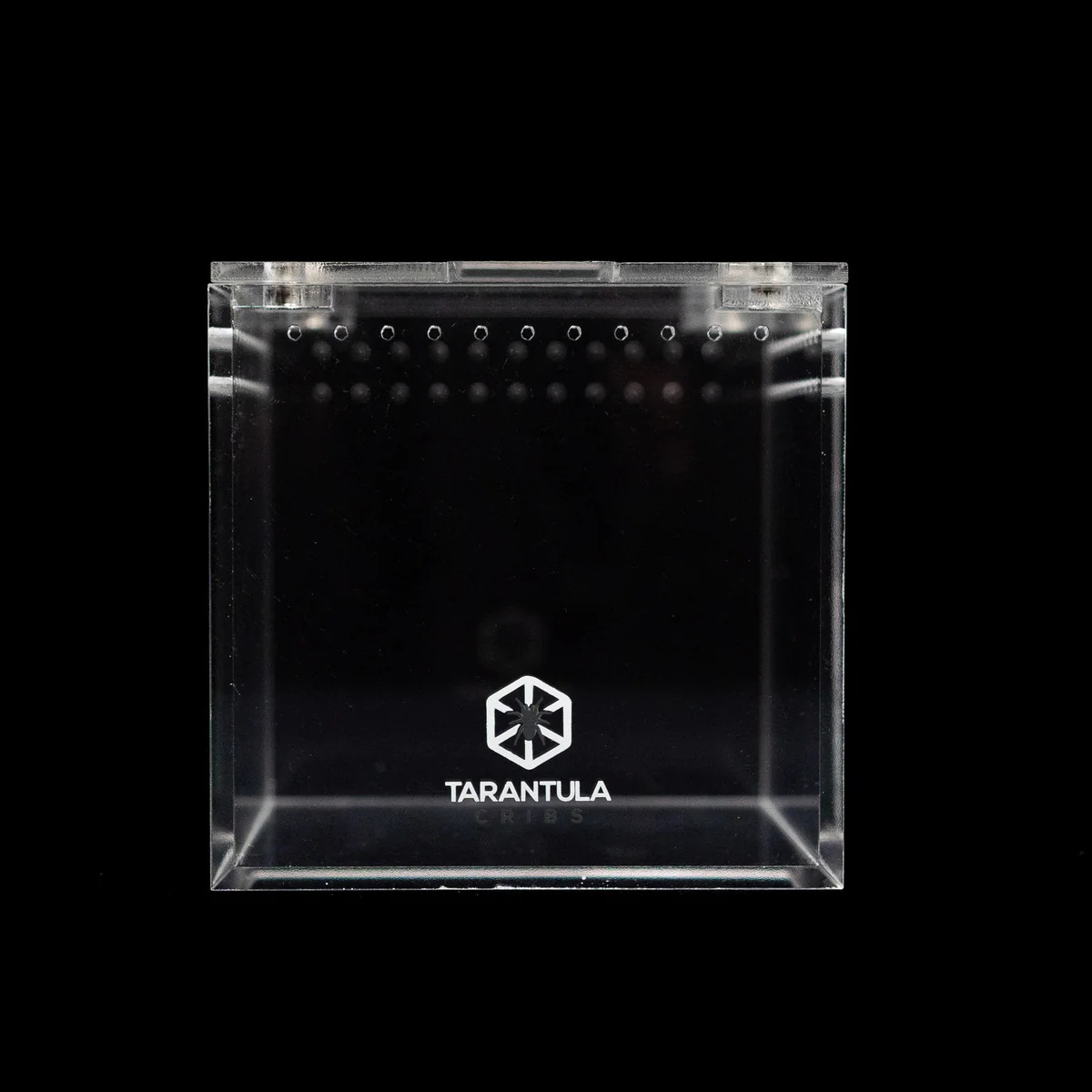 3 inch acrylic tarantula cube enclosure for spiderlings