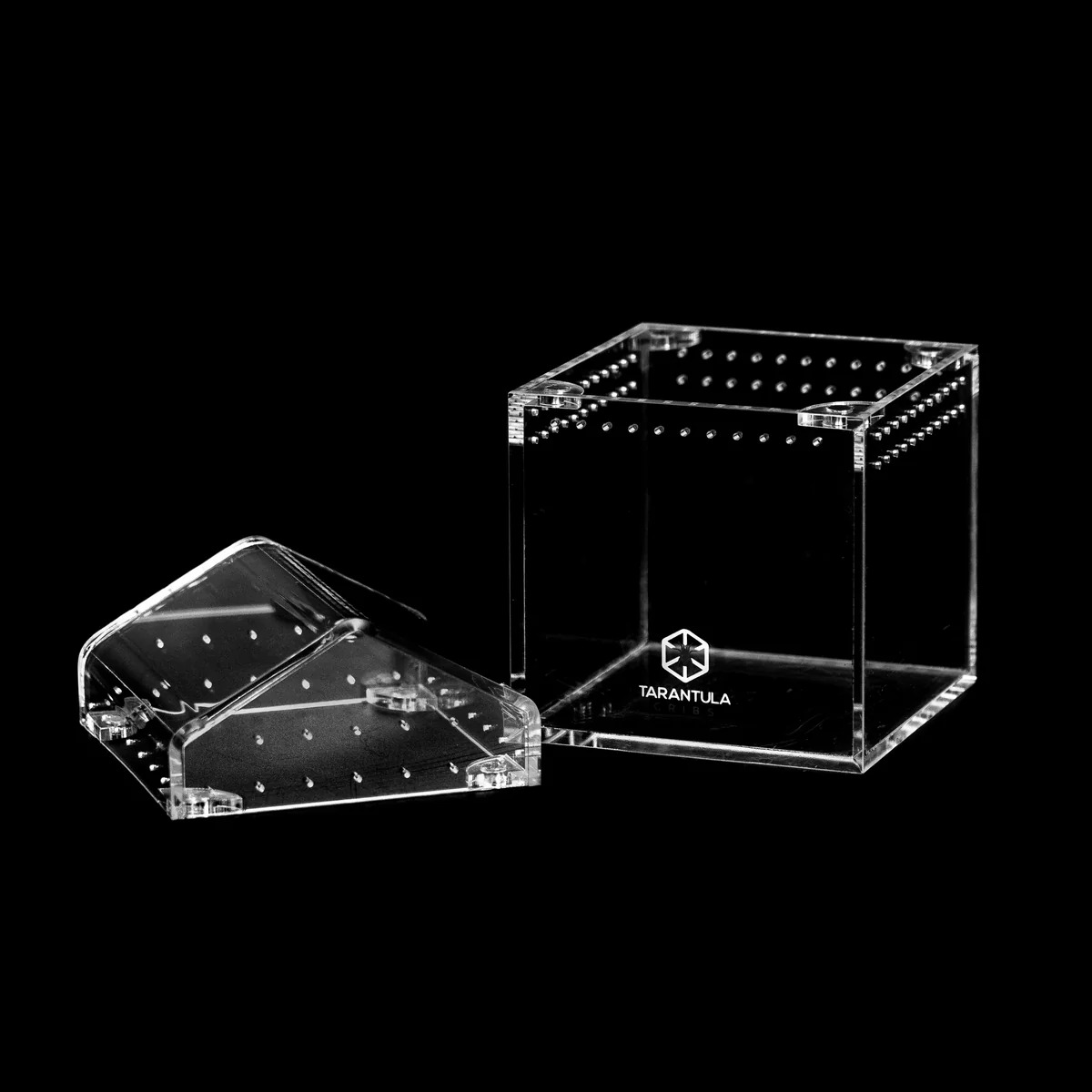 3 inch acrylic tarantula cube enclosure for spiderlings