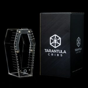 Clear Mini Coffin Crib | Acrylic Tarantula & Invertebrate Enclosure