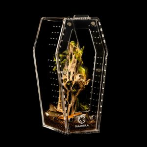 Clear Mini Coffin Crib | Acrylic Tarantula & Invertebrate Enclosure