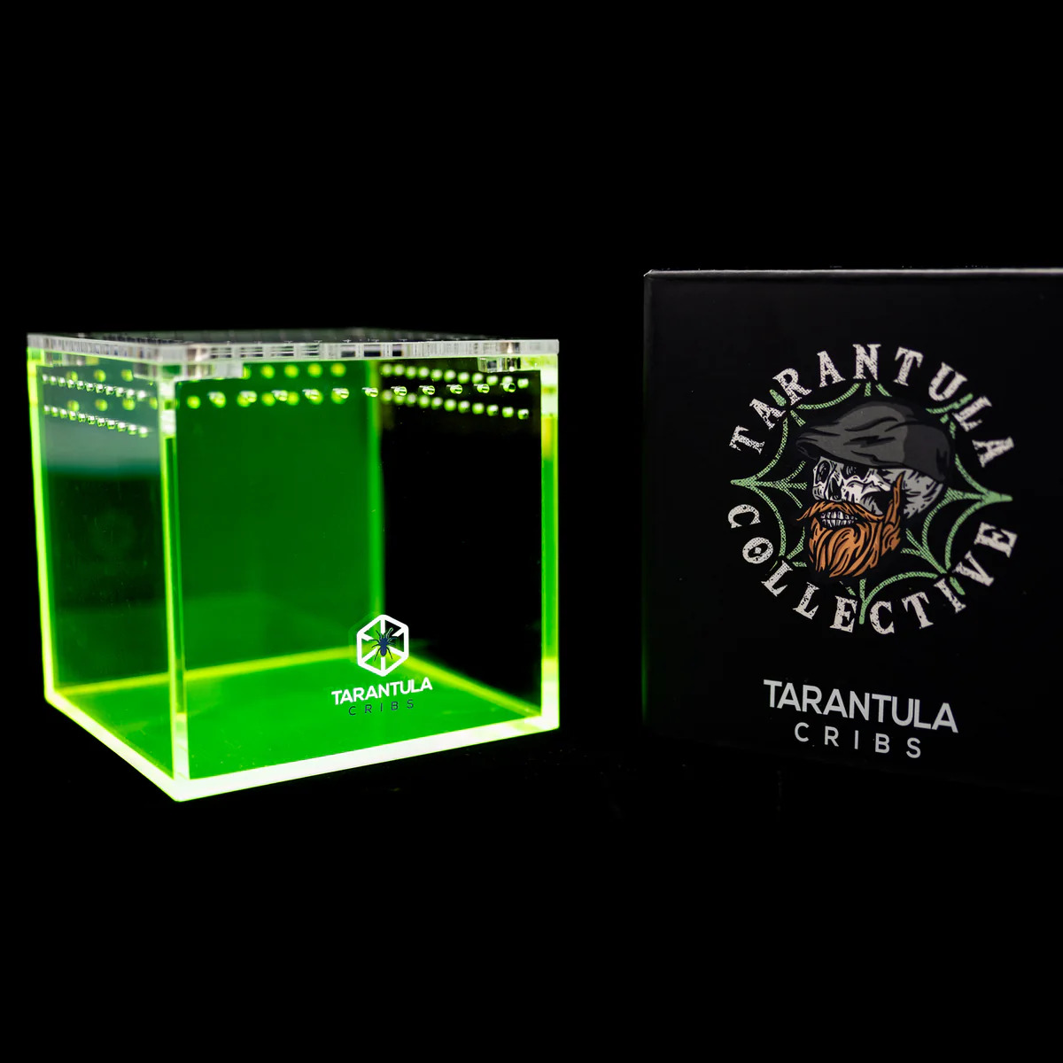 Richard Stewart Collaboration Neon Green Tarantula Enclosure