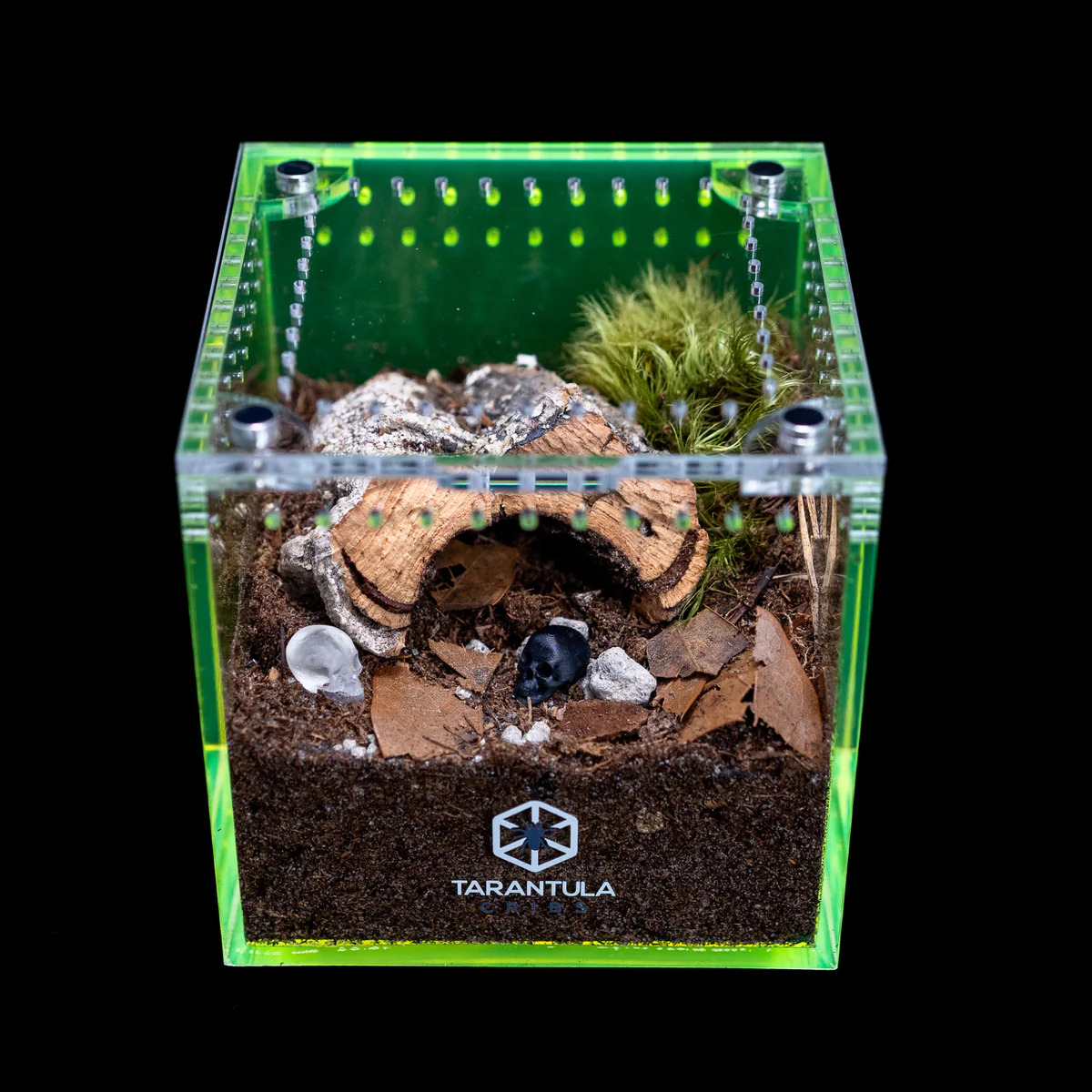 Richard Stewart Collaboration Enclosure | Glow Cube for Spiderlings - Image 7