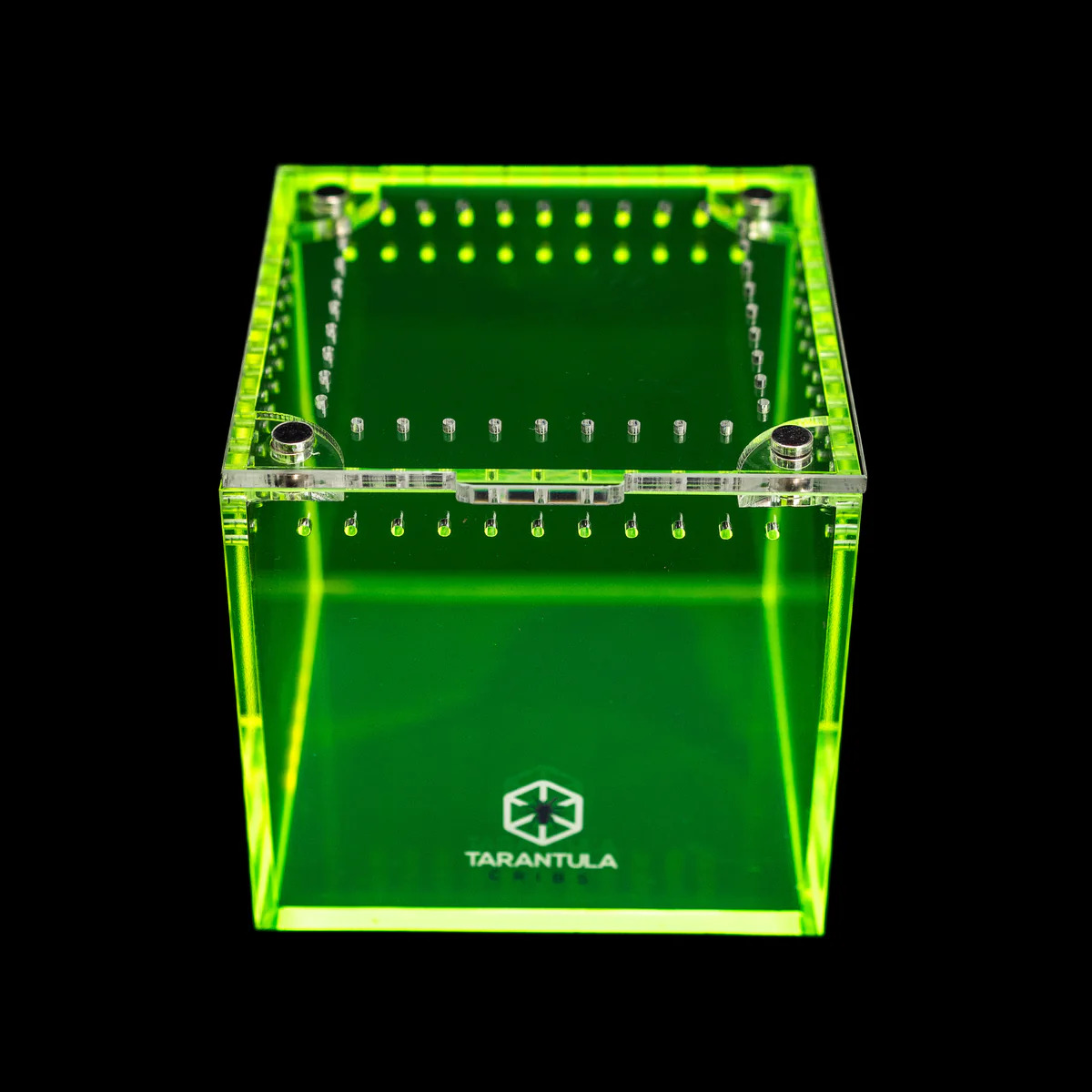Richard Stewart Collaboration Neon Green Tarantula Enclosure
