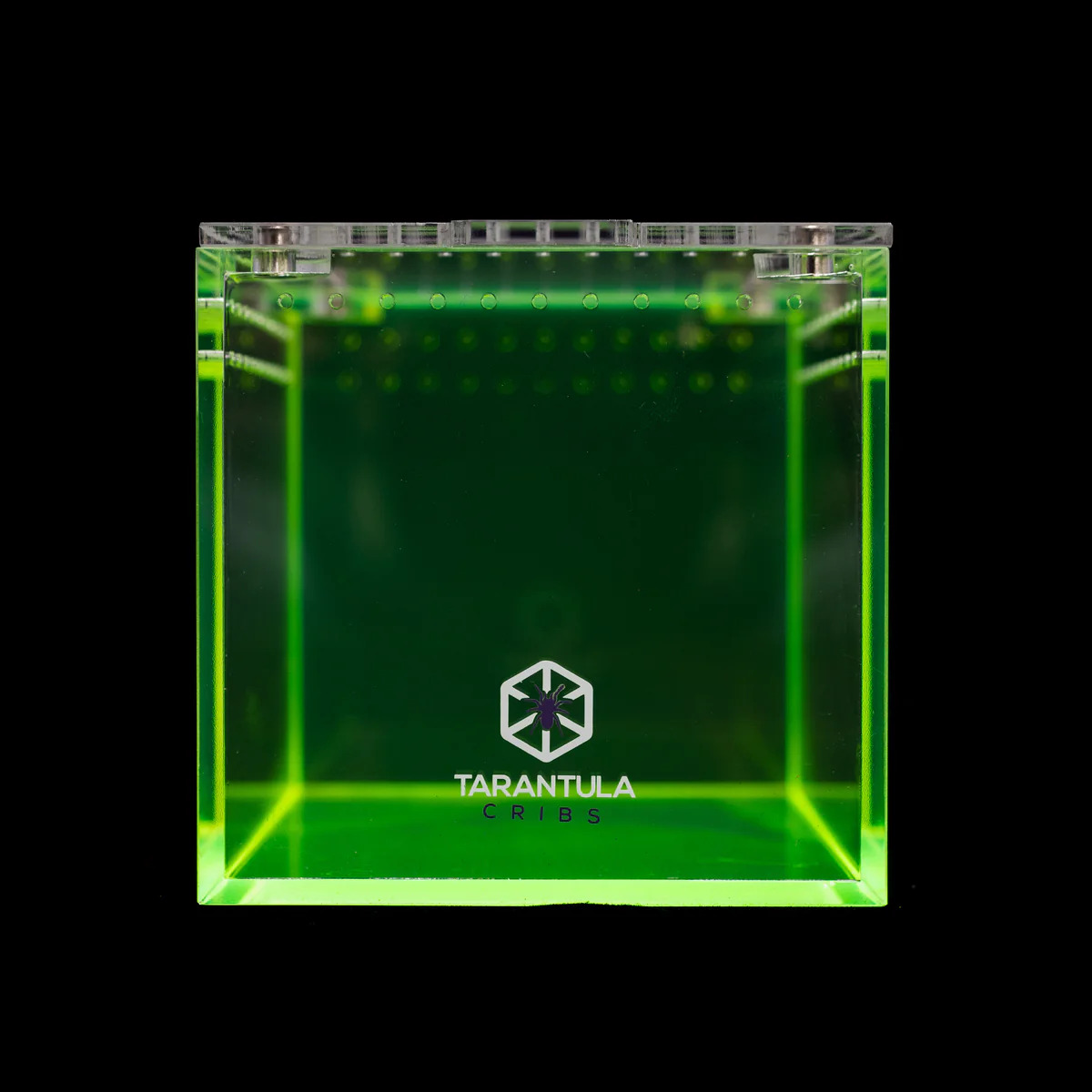 Richard Stewart Collaboration Neon Green Tarantula Enclosure